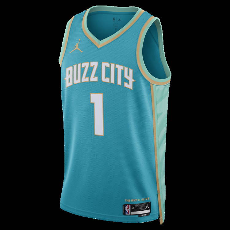 Charlotte Hornets Icon Edition 2022/23 Men's Jordan Dri-FIT NBA Swingman  Jersey