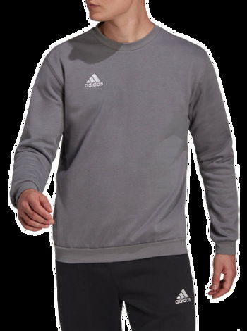 adidas Originals Sweatshirt Entrada 22 h57479