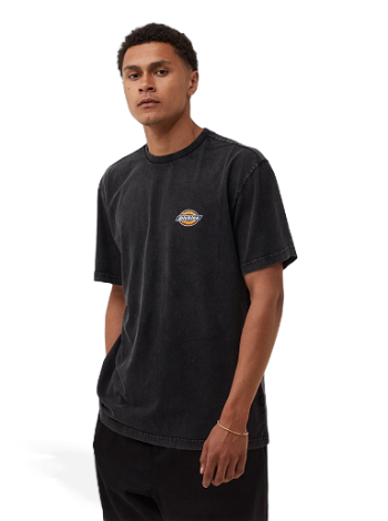Dickies ICON WASHED TEE 196248268002