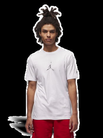 Jordan Graphic T-Shirt FD7029-100