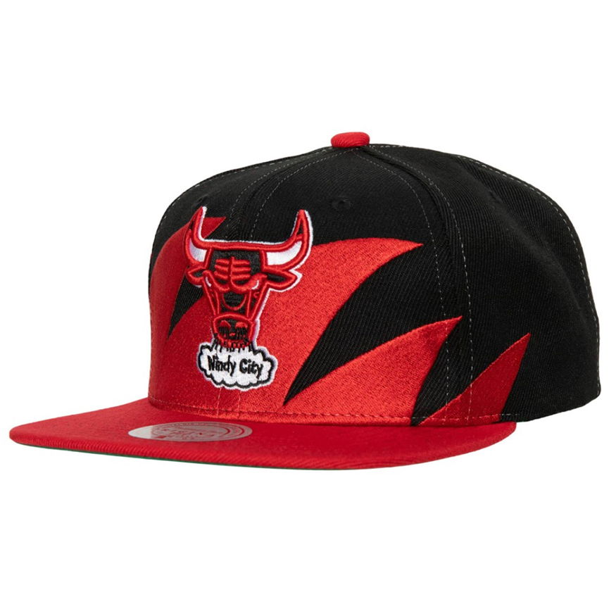 Team Ground 2.0 Dad Strapback HWC Chicago Bulls