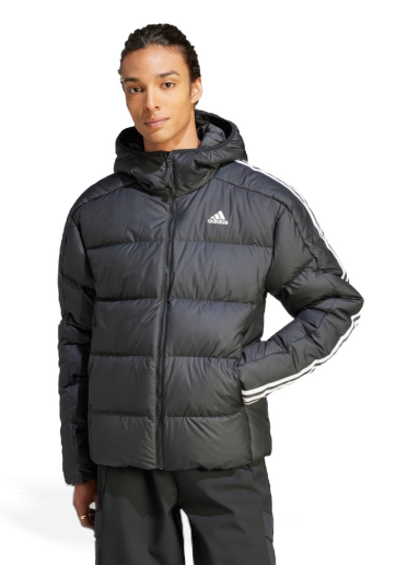 100 % authentisch garantiert Puffer jacket adidas Originals Short \