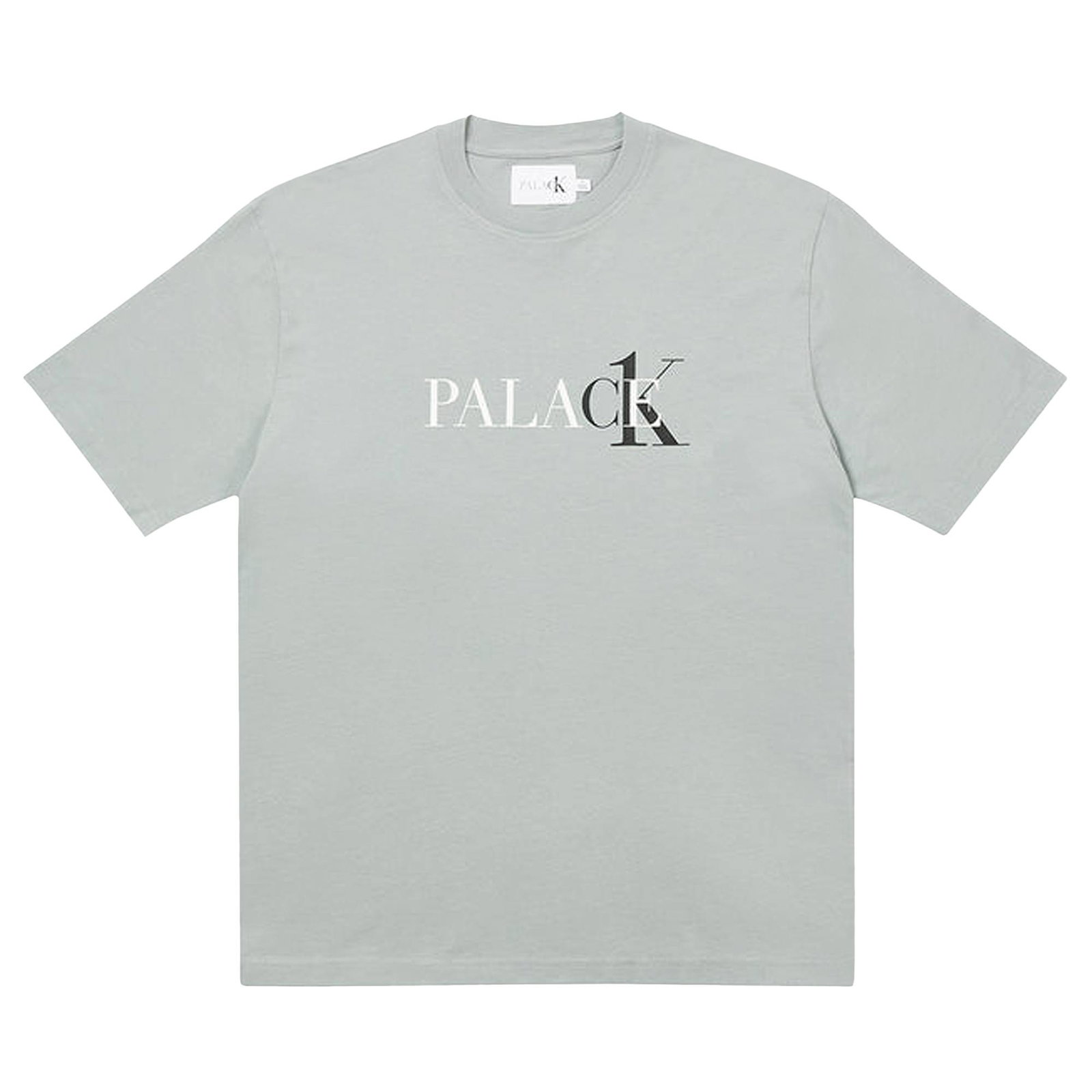T-shirt Palace Calvin x T-Shirt P22CKTS003 FlexDog