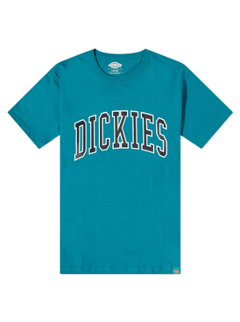Dickies Aitkin College Logo Tee DK0A4X9FE641