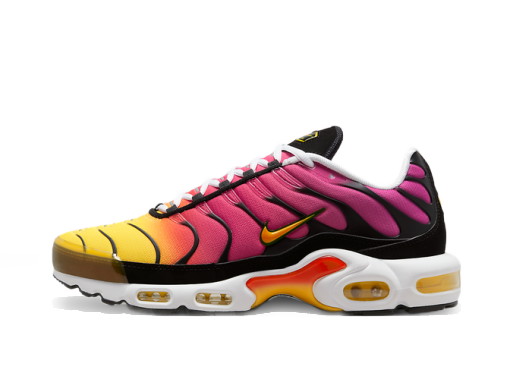 Air Max Plus "Rainbow"