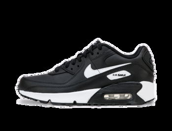Nike Air Max 90 Leather GS CD6864-010