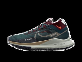 Nike Pegasus Trail 4 GORE-TEX dj7929-302