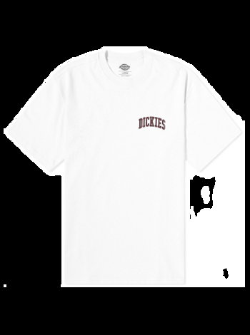 Dickies Aitkin Chest Logo T-Shirt "White & Fired Brick" DK0A4Y8OG401