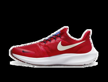 Nike Pegasus FlyEase DJ7381-601