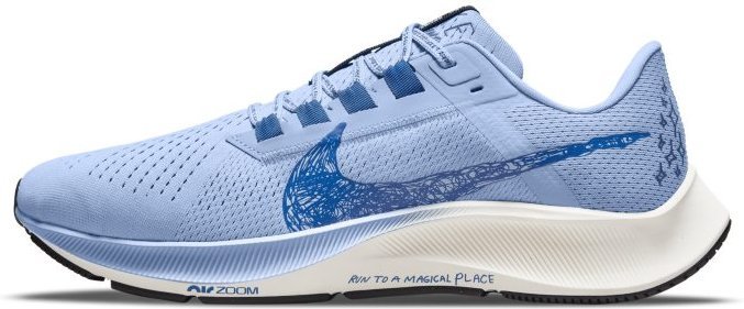 Nike Zoom Pegasus 38 DM1610-400 | FLEXDOG