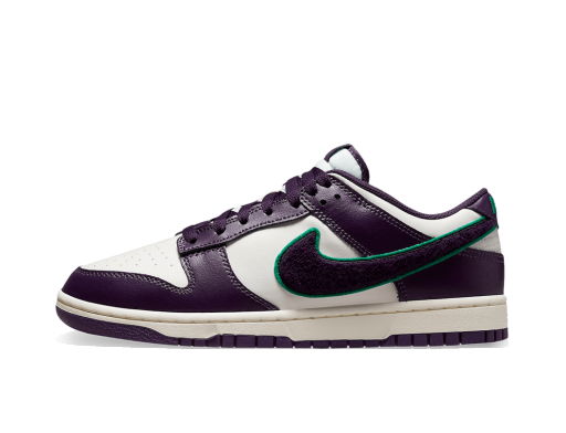 Nike Dunk Low Anthracite Astro Men's - 304714-009 - US