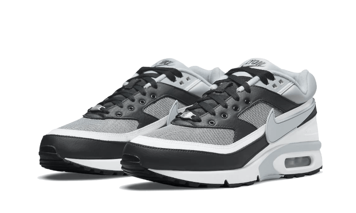 Brullen verslag doen van Reizen Nike Air Max BW ''Lyon'' DM6445-001 | FLEXDOG
