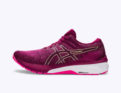 Asics GT 2000 7 1011A713 001 FLEXDOG