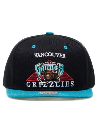 Team Ground 2.0 Dad Strapback HWC Vancouver Grizzlies - Shop