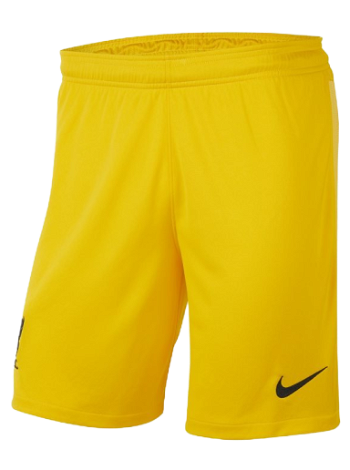 Nike Liverpool F.C. 2021/22 Stadium Goalkeeper Football Shorts DB2556-739