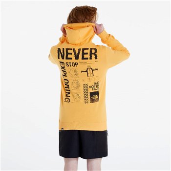 The North Face Galahm Graphic Hoodie NF0A7R2L0UT1