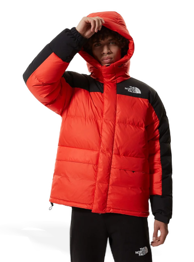 The North Face Printed Dryvent Mountain Parka NF0A7QEQ52H1 | FlexDog