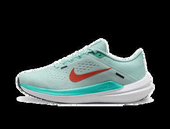 Nike Winflo 10 W DV4023-300