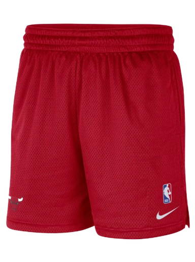 Nike Chicago Bulls Icon Edition NBA Swingman Shorts, AJ5593-657