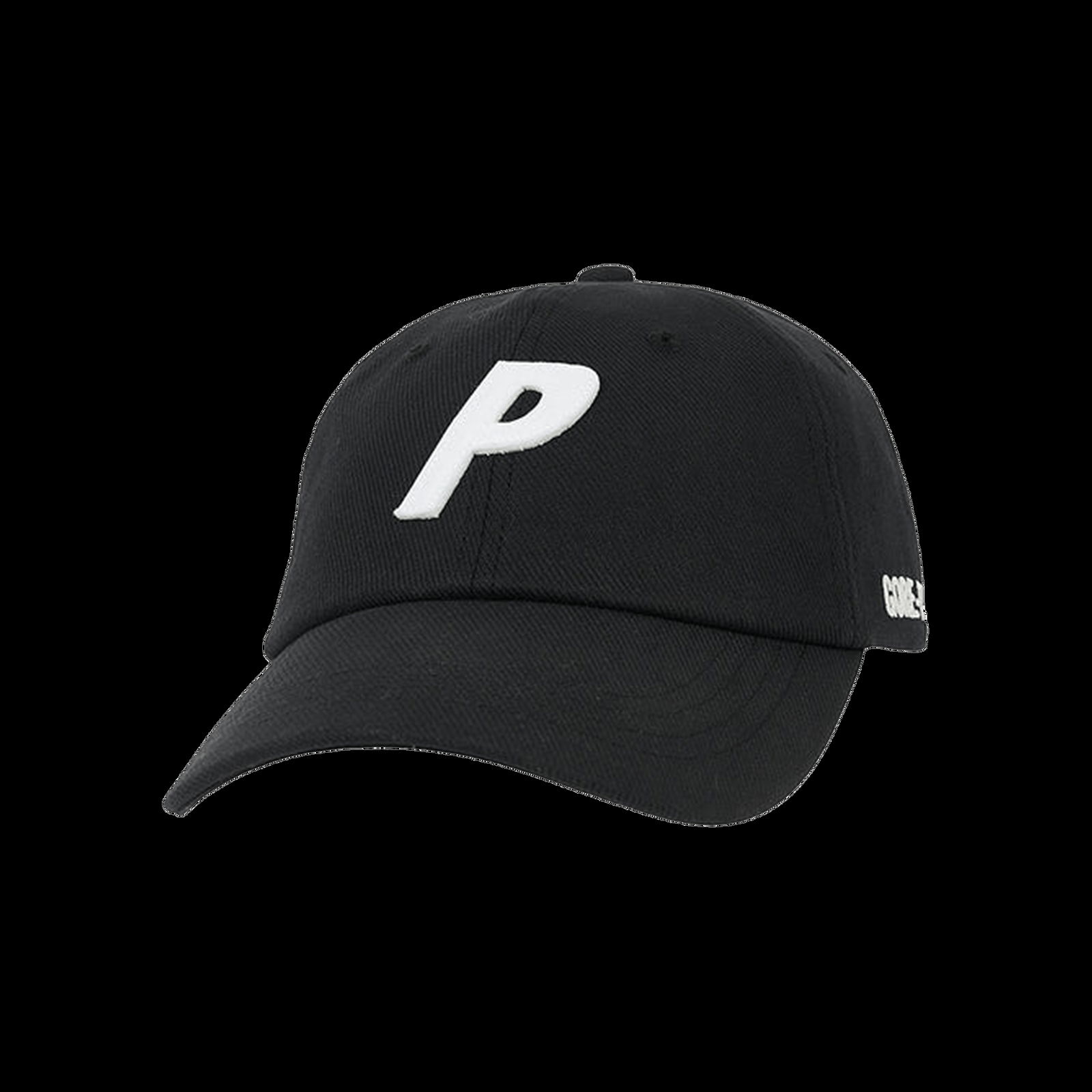 Cap Palace Gore-Tex Plaid P 6-Panel Cap P23H191 | FlexDog