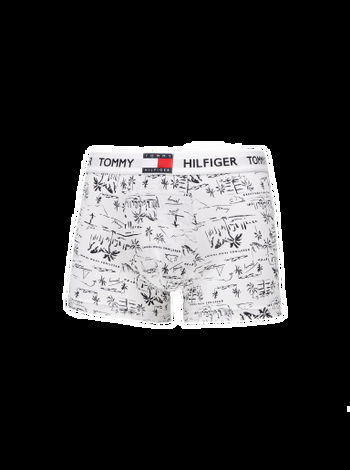 Tommy Hilfiger 3 Pack Boxer Briefs UM0UM02204 0TE